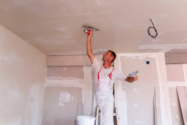 Best Ceiling Drywall Installation  in Bal Harbour, FL